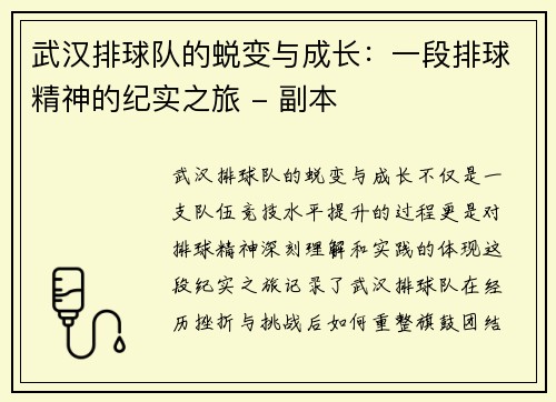 武汉排球队的蜕变与成长：一段排球精神的纪实之旅 - 副本